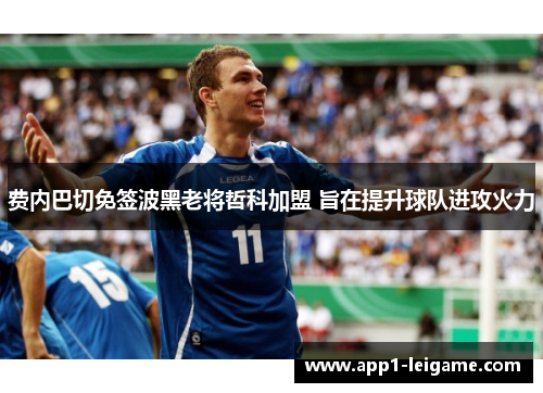 费内巴切免签波黑老将哲科加盟 旨在提升球队进攻火力 费内巴切免签波黑老将哲科加盟 旨在提升球队进攻火力